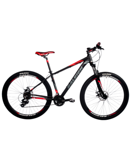 Bicicleta 2.0 R29 - Raleigh